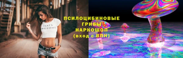 мяу мяу мука Алзамай