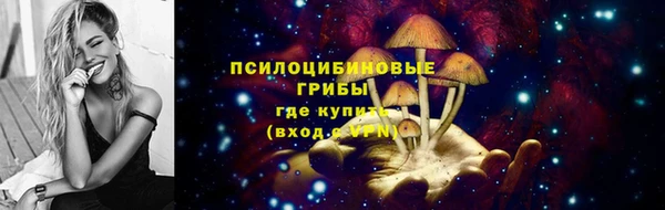 мяу мяу мука Алзамай