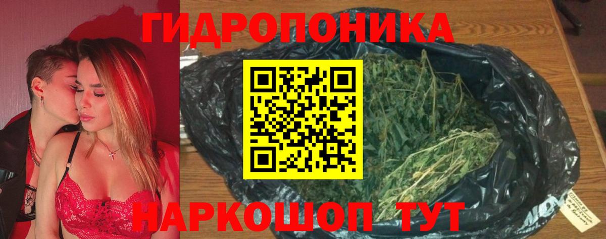 Бошки Шишки Bruce Banner  Канабис VHQ  Алексеевка  Канабис White Widow  Вход с VPN 